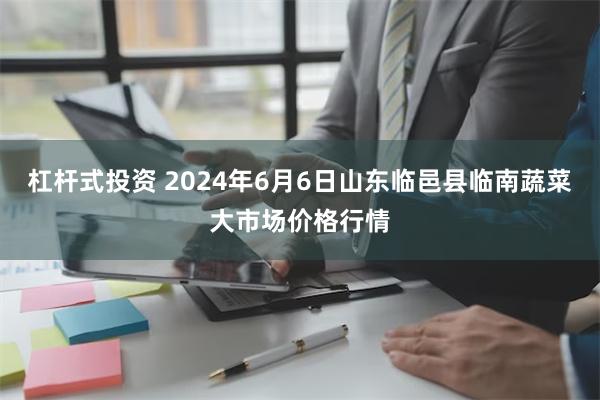 杠杆式投资 2024年6月6日山东临邑县临南蔬菜大市场价格行情