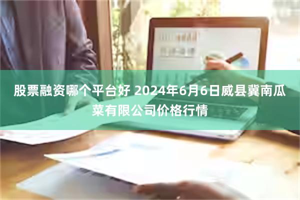 股票融资哪个平台好 2024年6月6日威县冀南瓜菜有限公司价格行情