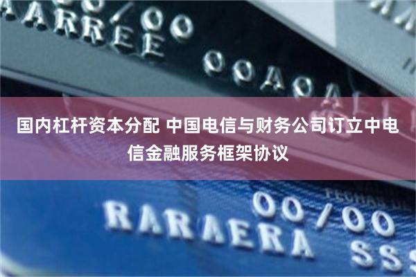 国内杠杆资本分配 中国电信与财务公司订立中电信金融服务框架协议