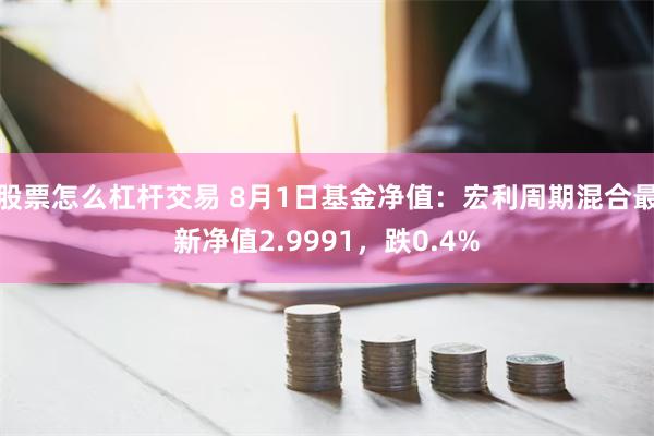 股票怎么杠杆交易 8月1日基金净值：宏利周期混合最新净值2.9991，跌0.4%