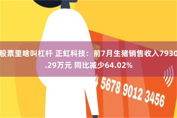 股票里啥叫杠杆 正虹科技：前7月生猪销售收入7930.29万元 同比减少64.02%