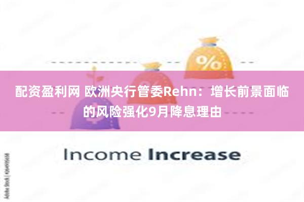 配资盈利网 欧洲央行管委Rehn：增长前景面临的风险强化9月降息理由