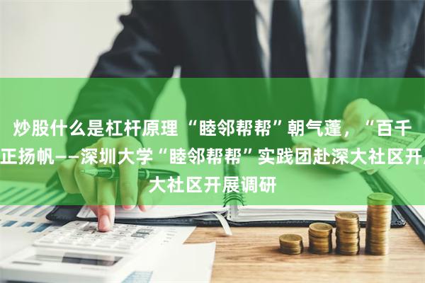 炒股什么是杠杆原理 “睦邻帮帮”朝气蓬，“百千万”梦正扬帆——深圳大学“睦邻帮帮”实践团赴深大社区开展调研