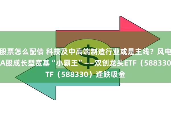 股票怎么配债 科技及中高端制造行业或是主线？风电板块大涨，A股成长型宽基“小霸王”——双创龙头ETF（588330）逢跌吸金