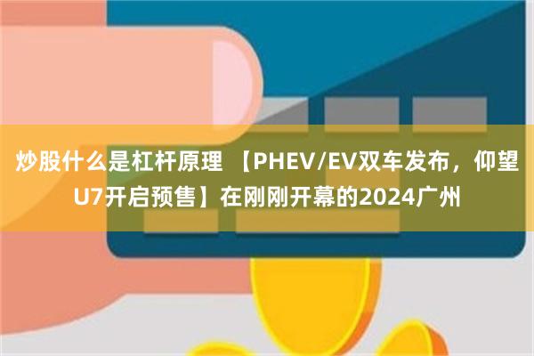 炒股什么是杠杆原理 【PHEV/EV双车发布，仰望U7开启预售】在刚刚开幕的2024广州