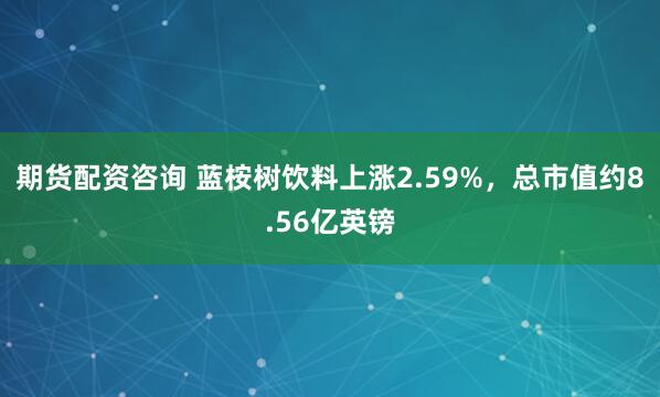 期货配资咨询 蓝桉树饮料上涨2.59%，总市值约8.56亿英镑