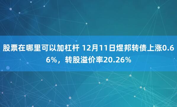 股票在哪里可以加杠杆 12月11日煜邦转债上涨0.66%，转股溢价率20.26%