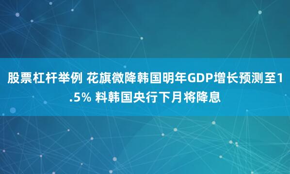 股票杠杆举例 花旗微降韩国明年GDP增长预测至1.5% 料韩国央行下月将降息