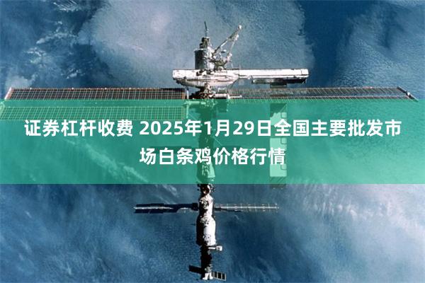 证券杠杆收费 2025年1月29日全国主要批发市场白条鸡价格行情