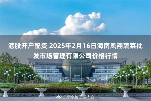 港股开户配资 2025年2月16日海南凤翔蔬菜批发市场管理有限公司价格行情