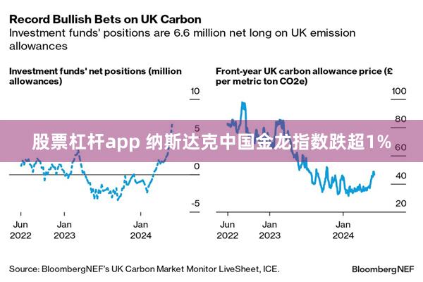 股票杠杆app 纳斯达克中国金龙指数跌超1%